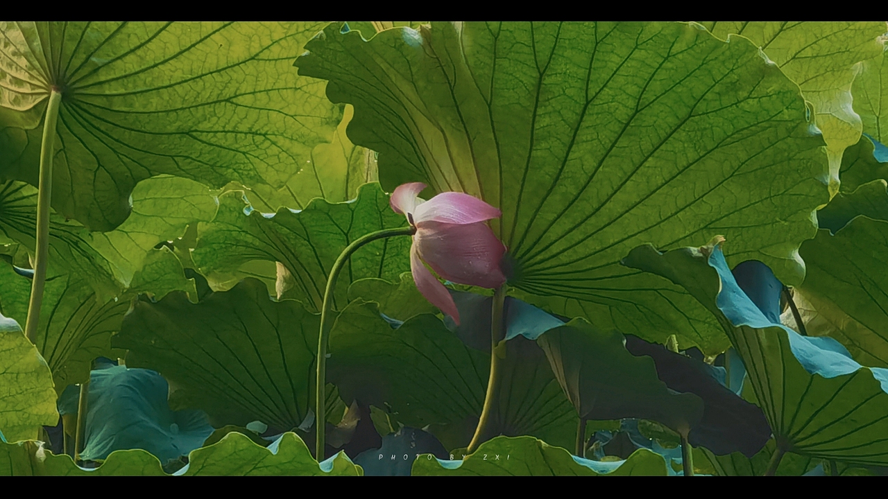 电影感摄影（图ZMjE1NTA5Nzgw） - 人文/纪实摄影 - 站酷设计师IZZARD盜原创素材 - 站酷ZCOOL