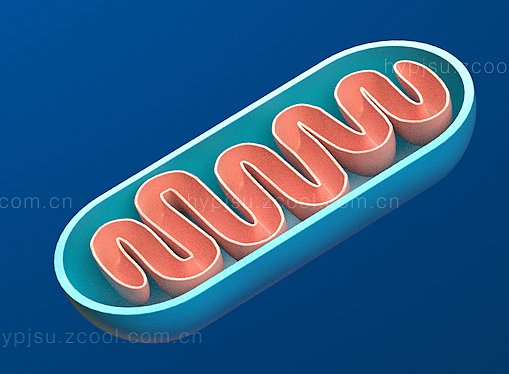SCI示意图：细胞内传质示意图（图ZMTM3NTA1OTY0） - 其他三维 - 站酷设计师HYP_JNU原创素材 - 站酷ZCOOL