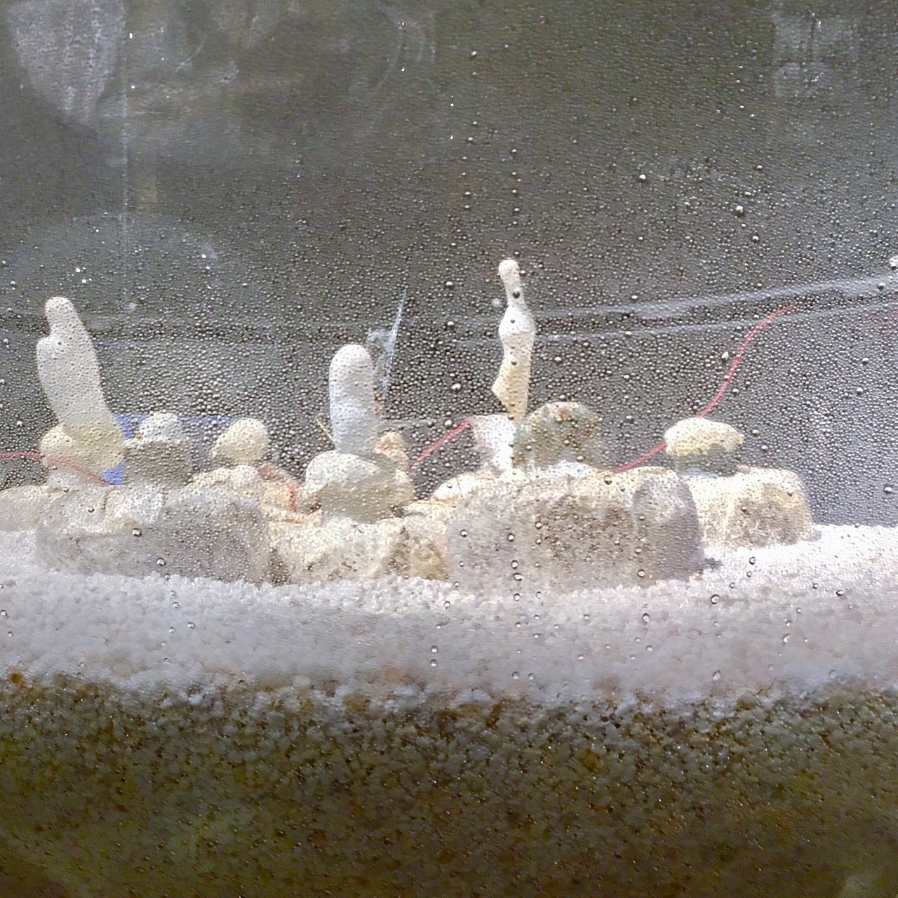 台北美术奖+双年展