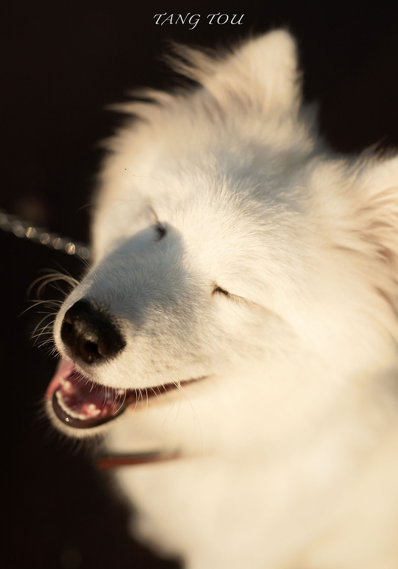 我家的微笑天使