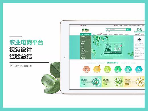 农业电商平台 · 视觉设计经验总结