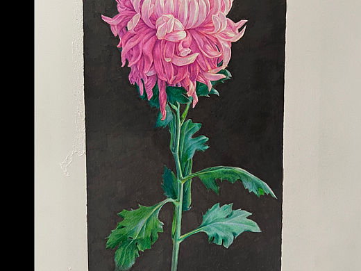 画一朵菊花