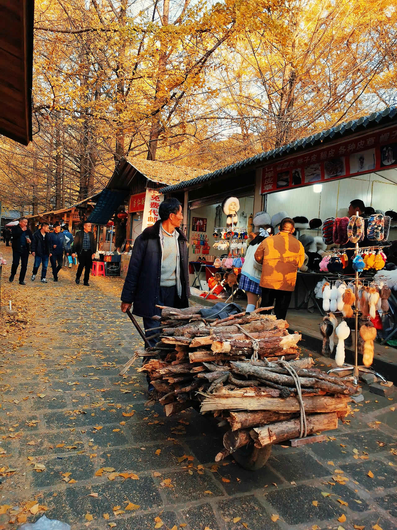 腾冲银杏村（图ZMjM1ODYzMzYw） - 人文/纪实摄影 - 站酷设计师烂手机换盆原创素材 - 站酷ZCOOL