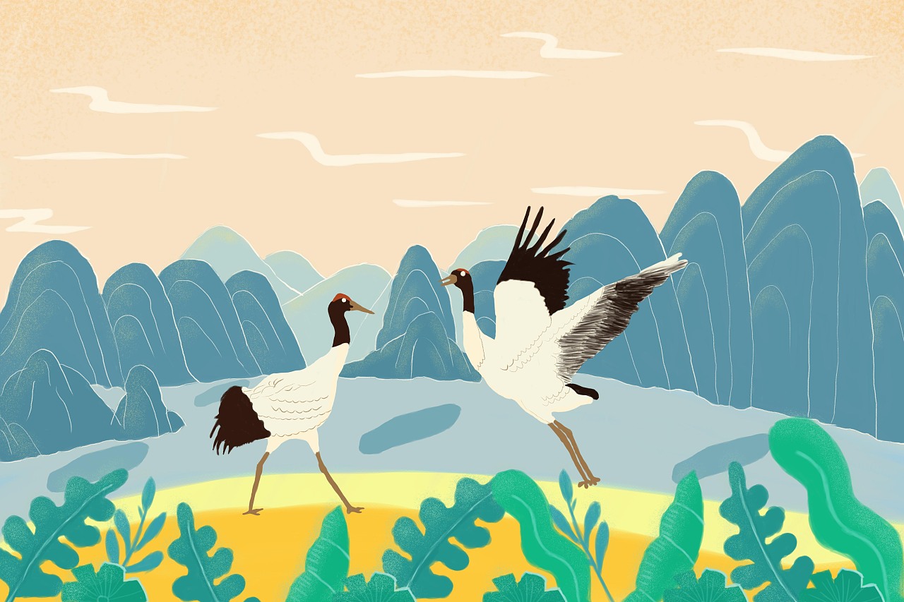 仙鹤风景插画|插画|插画习作|z77989023 - 原创作品 - 站酷 (zcool)