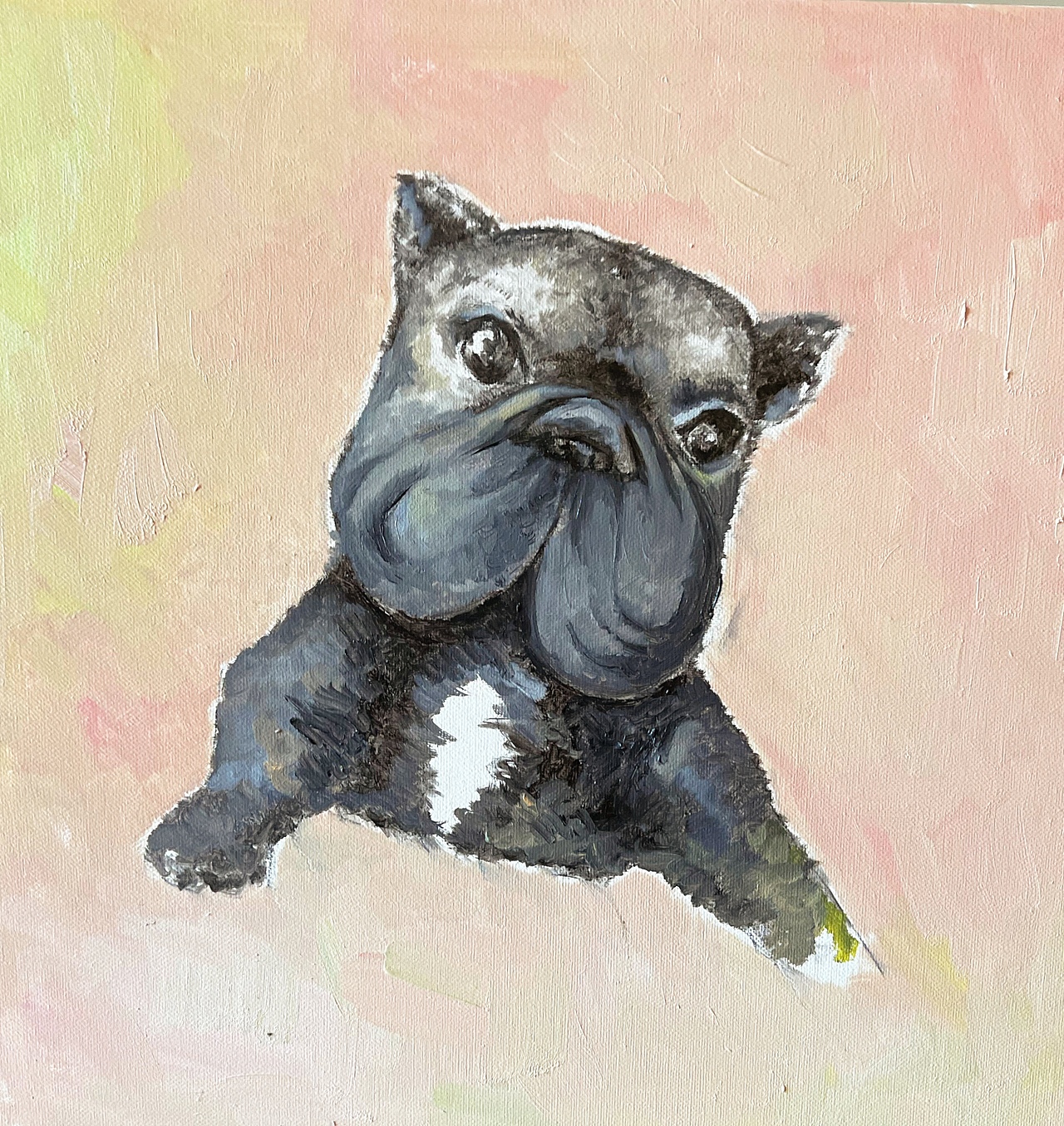 法斗（圖ZMjk0NTMwODI0） - 繪畫 - 站酷設(shè)計師反塔原創(chuàng)素材 - 站酷ZCOOL