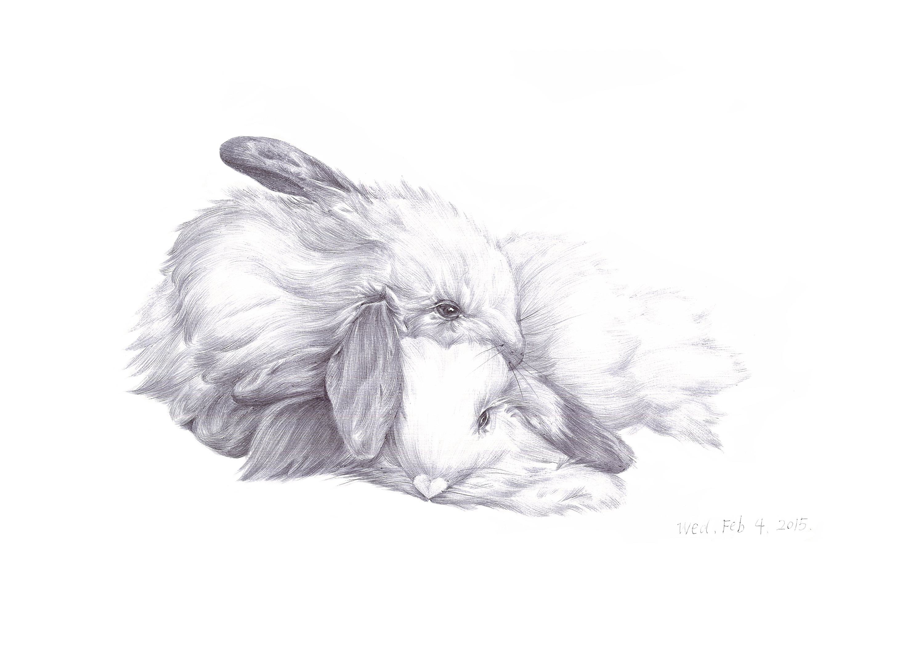 《兔子》|插画|插画习作|林观星 - 原创作品 - 站酷 (zcool)