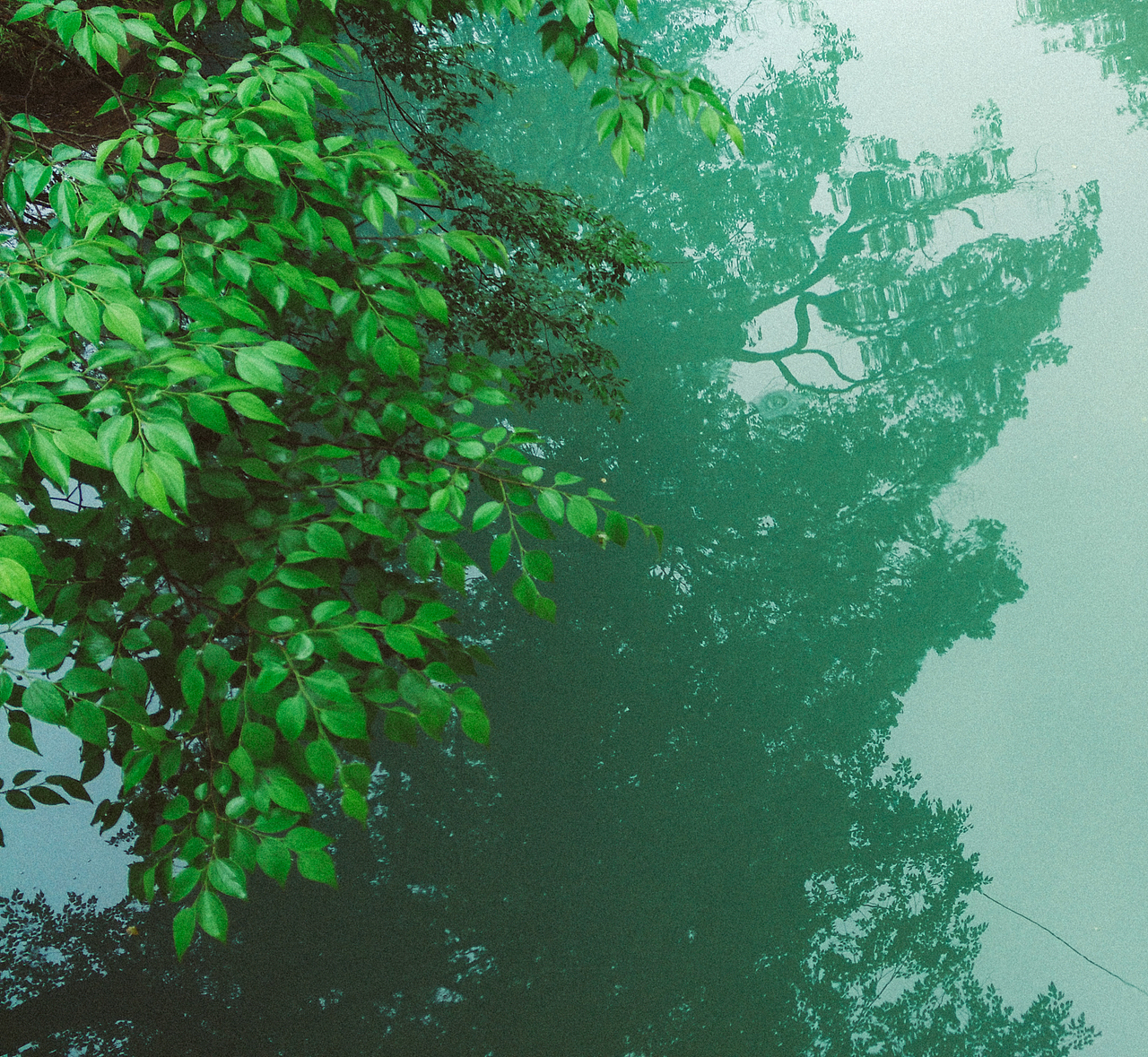 《关于春天的故事》