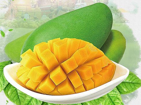 电商网页平台设计