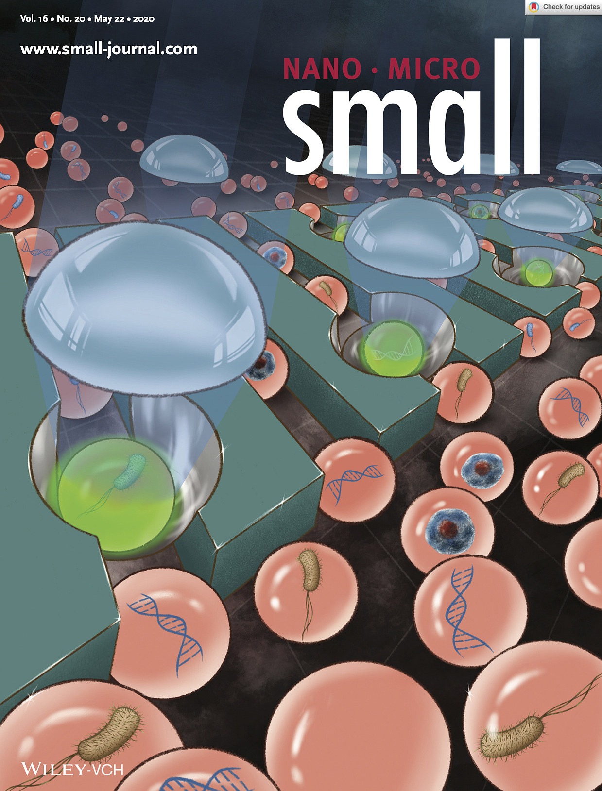 科学杂志封面插画（图ZMjQyMjUyMzgw） - 商业插画 - 站酷设计师Yujia在Zurich原创素材 - 站酷ZCOOL