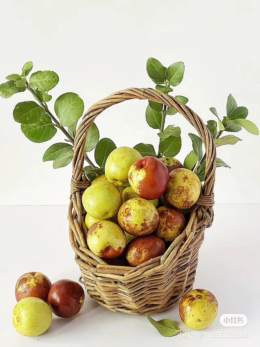 食物转线稿风插画（图ZMzU1OTE4NTgw） - 商业插画 - 站酷设计师酷得没边儿原创素材 - 站酷ZCOOL