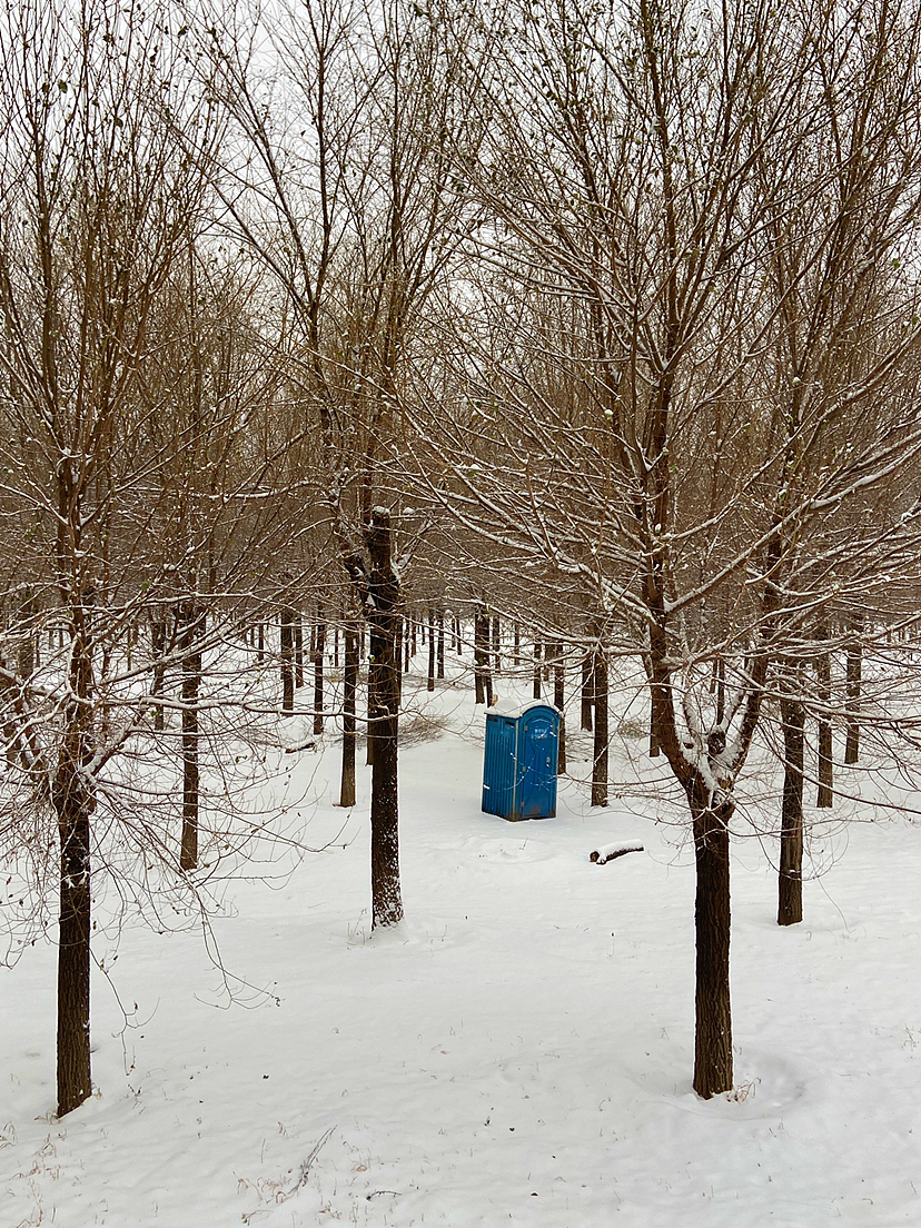 刘勇良手机纪实摄影:雪后美景