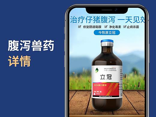 宠物营养品详情，白头翁畜牧兽药药品详情