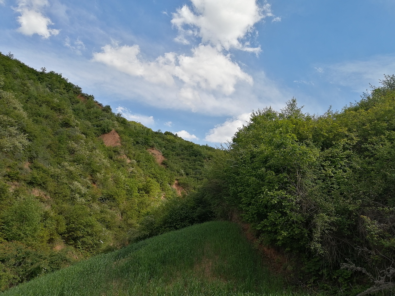 神奇的大自然的产物