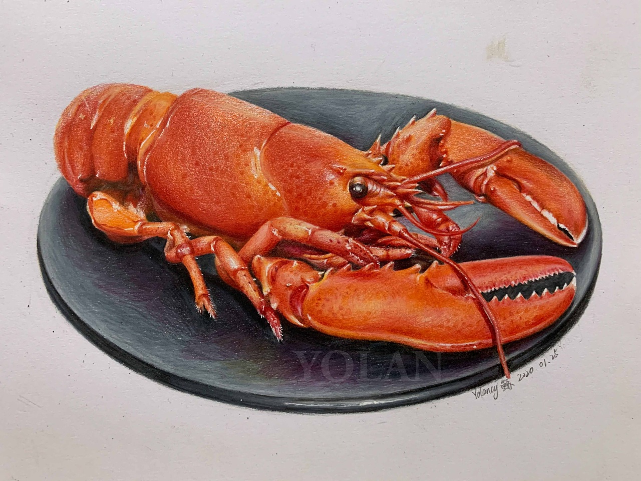 彩铅练习「小龙虾」|纯艺术|绘画|yolan20 - 原创作品 - 站酷 (zcool)
