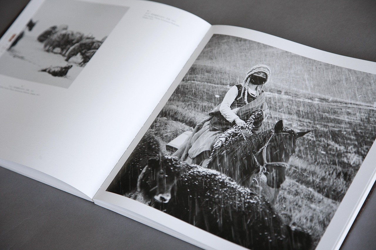 《高原之境》画册（图ZMTIzNDY3NjM2） - 书籍/画册 - 站酷设计师轻舞飞扬166原创素材 - 站酷ZCOOL