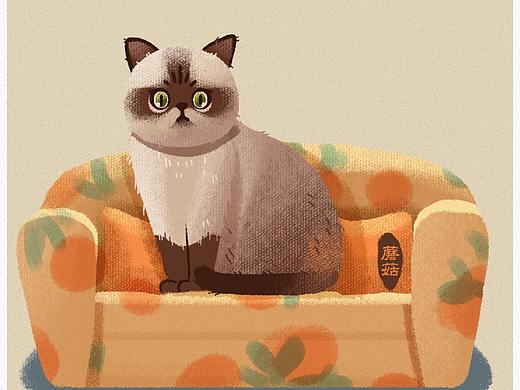 一波软萌小动物