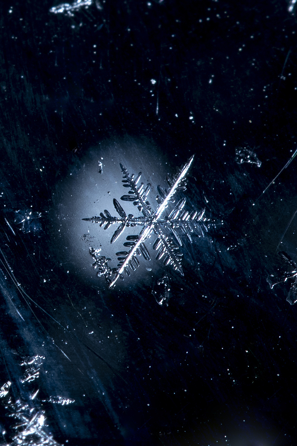 雪花微距 | 施华洛世奇（图ZMjg4MzQwMjQ4） - 时尚/艺术摄影 - 站酷设计师__afra_原创素材 - 站酷ZCOOL