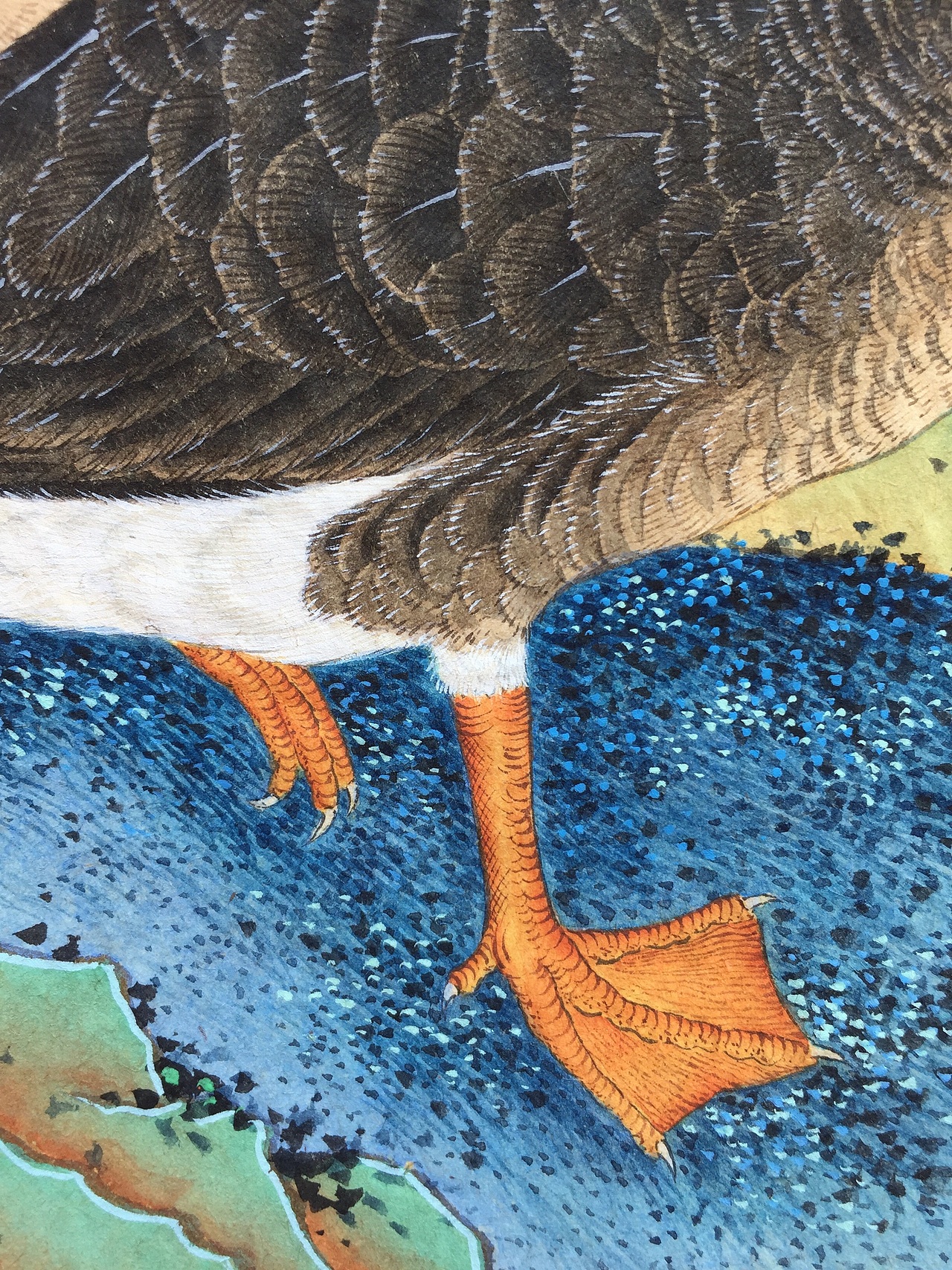 藏君绘《十钗声》工笔重彩花鸟