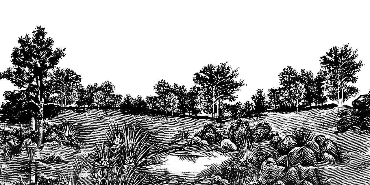 原创动画场景集锦