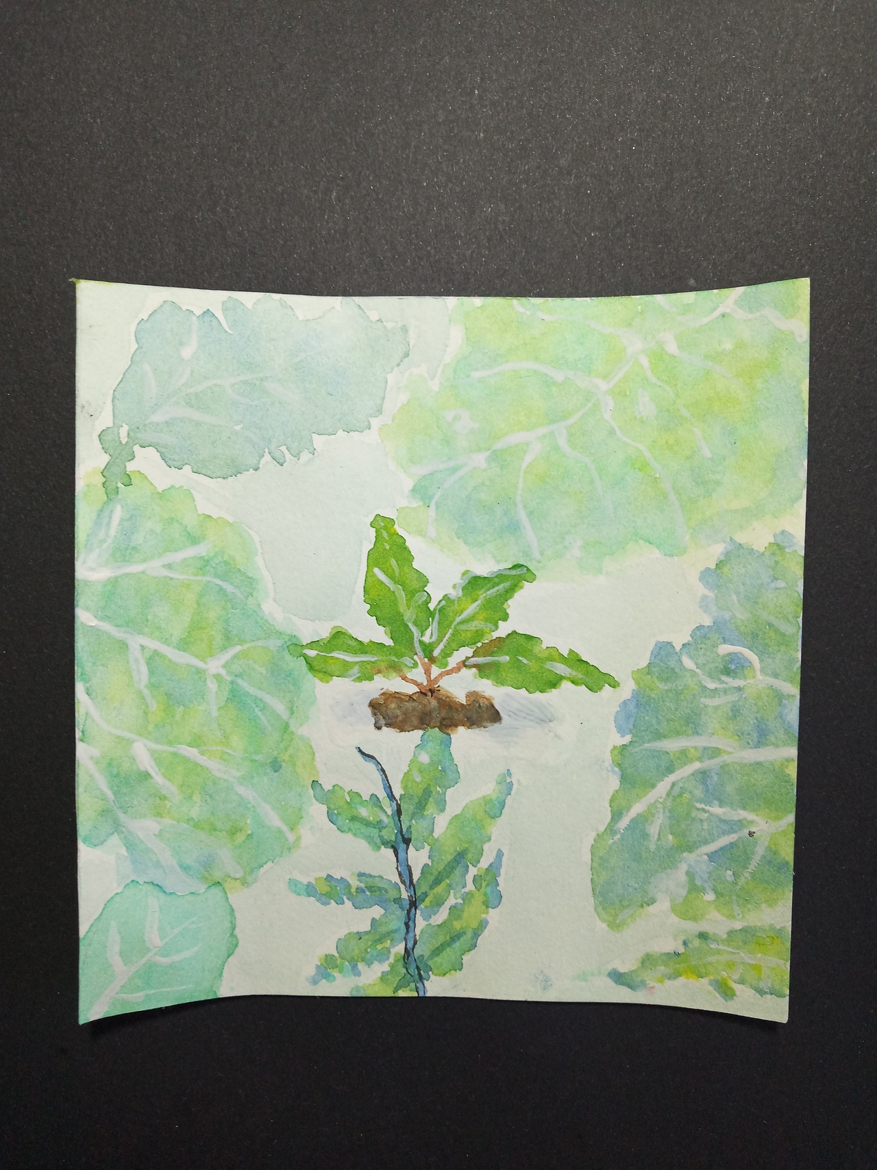 大一春夏秋冬设计作业 12cm×12cm（图ZMTEwNTg3OTE2） - 图案 - 站酷设计师孙无趣原创素材 - 站酷ZCOOL