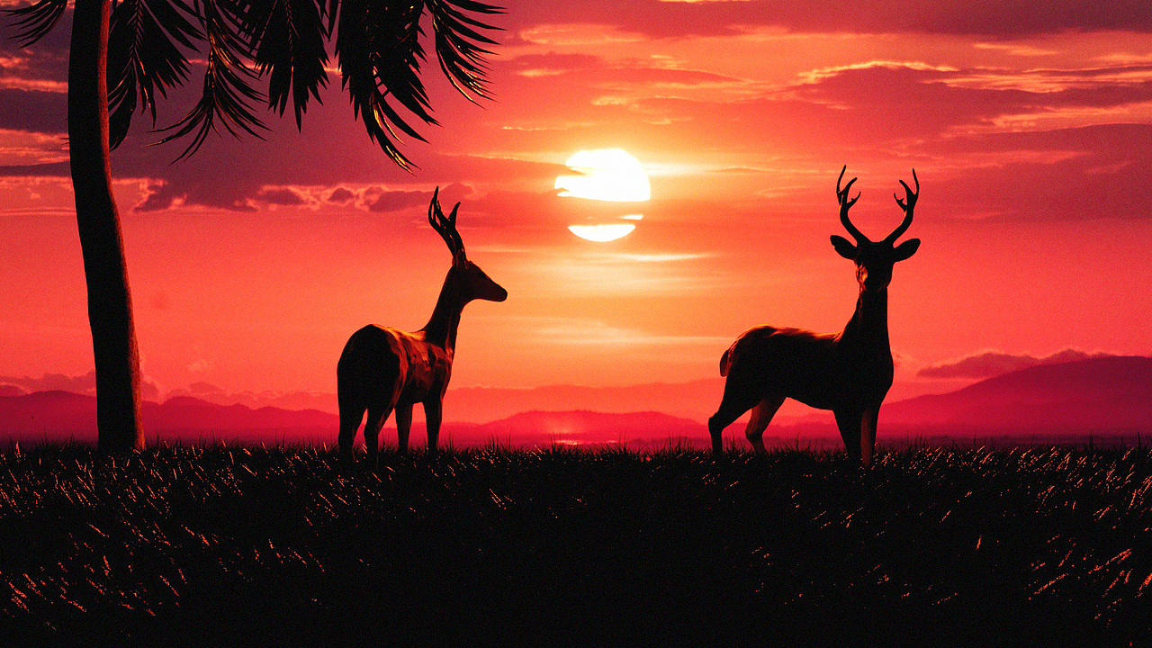 三维随练（图ZMjYwMTc4NzIw） - 场景 - 站酷设计师KAOIKA原创素材 - 站酷ZCOOL