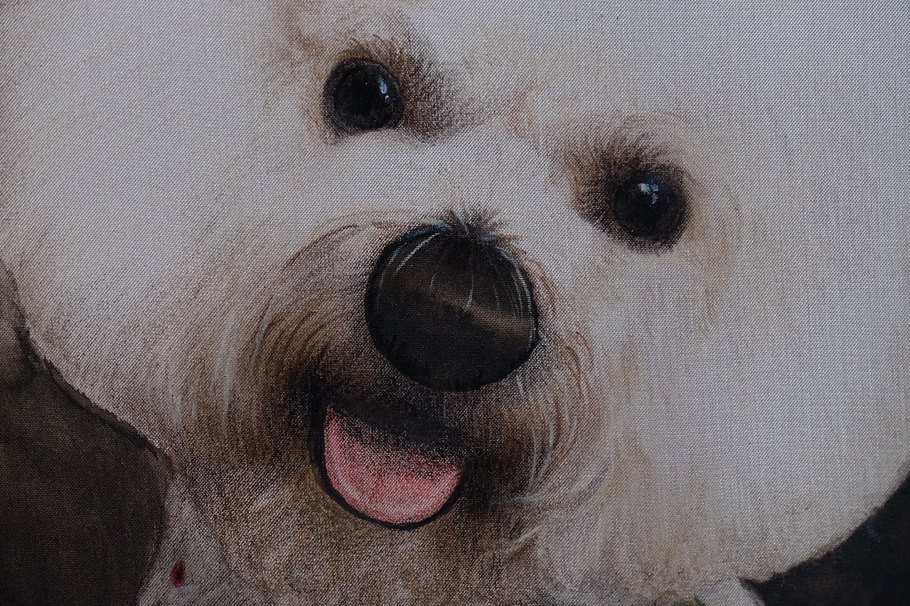 手绘团扇画《咖哥》