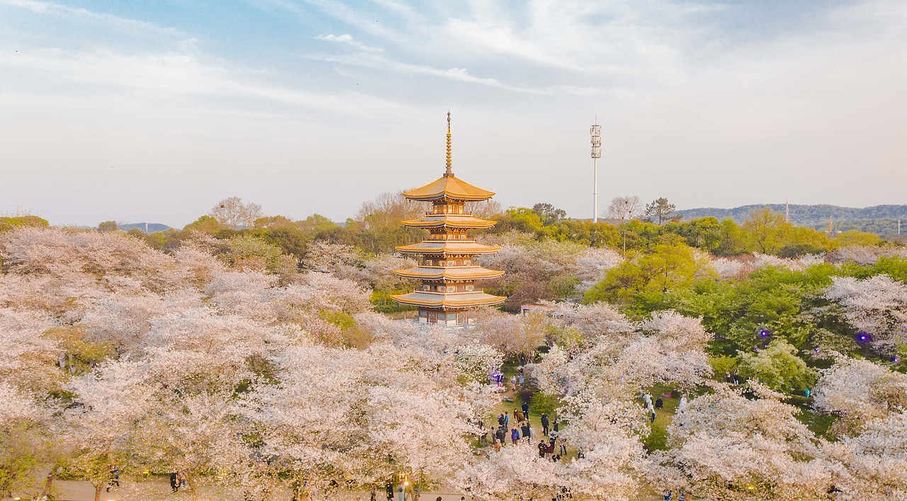五重塔与樱（图ZMjk0MDIyMTQ0） - 风光摄影 - 站酷设计师手抖得福瑞原创素材 - 站酷ZCOOL