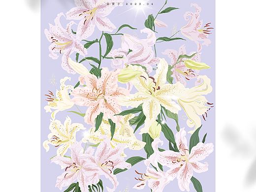 百合与鸢尾