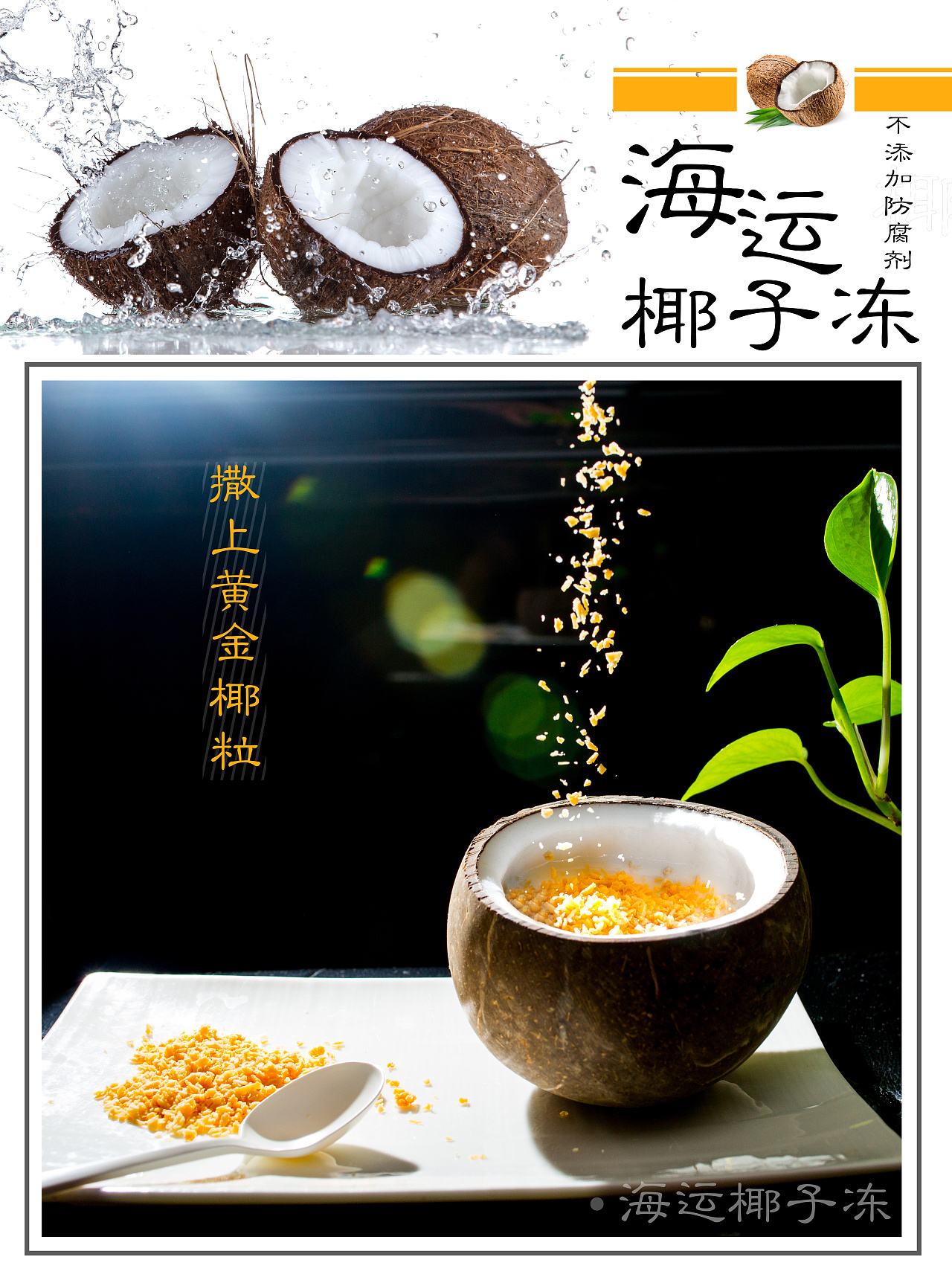 沈阳地理生鲜海运椰子冻