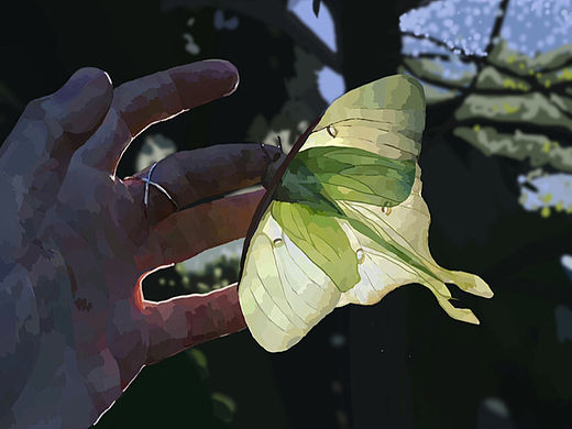 可是它在发光耶