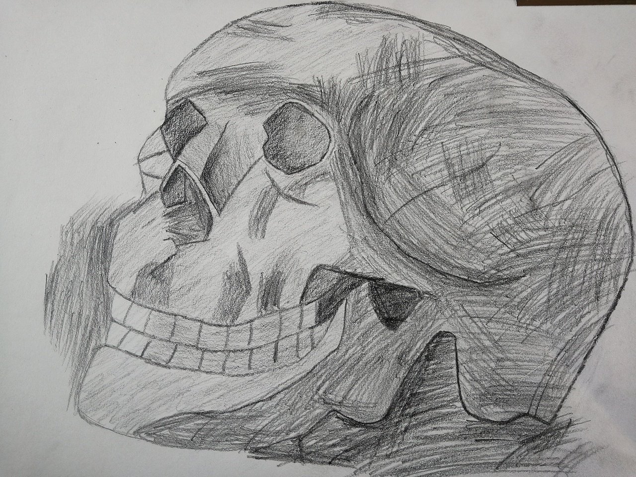 大一时候的素描作品