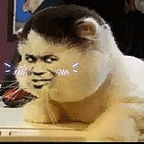 dadadazhao的头像