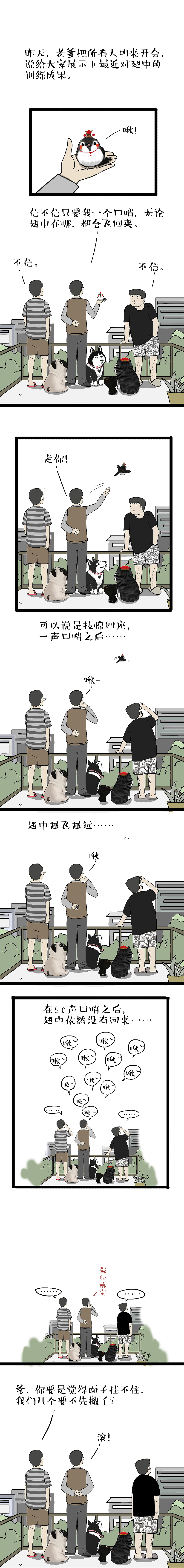 你想看看世界,我只想再看看你