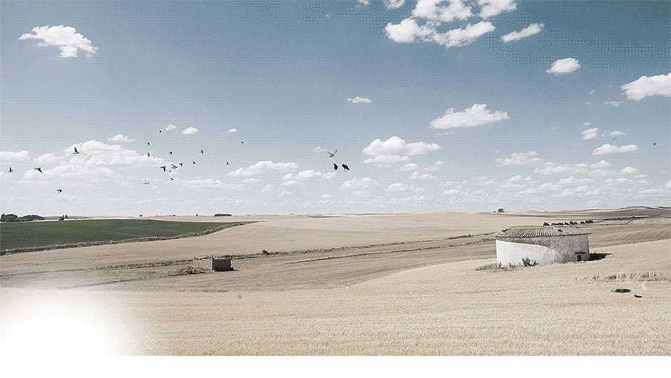 合成海报×2 废墟运送/玛雅森林（图ZMjQ1OTA3MzYw） - 海报 - 站酷设计师f肥皂原创素材 - 站酷ZCOOL