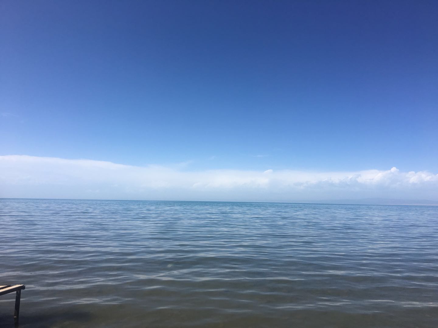 张玉妃的个人主页（封面预览） - 主页封面设置 - 站酷设计师张玉妃原创素材 - 站酷ZCOOL