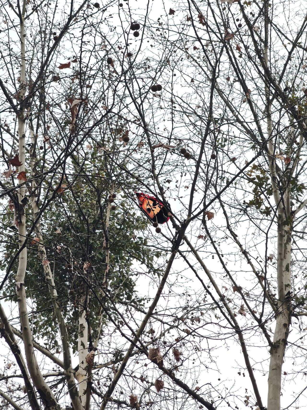 每個(gè)人都有疲累生活里的英雄夢(mèng)想（圖ZMzMzNDQ2OTI4） - 其他攝影 - 站酷設(shè)計(jì)師大鵬映象原創(chuàng)素材 - 站酷ZCOOL