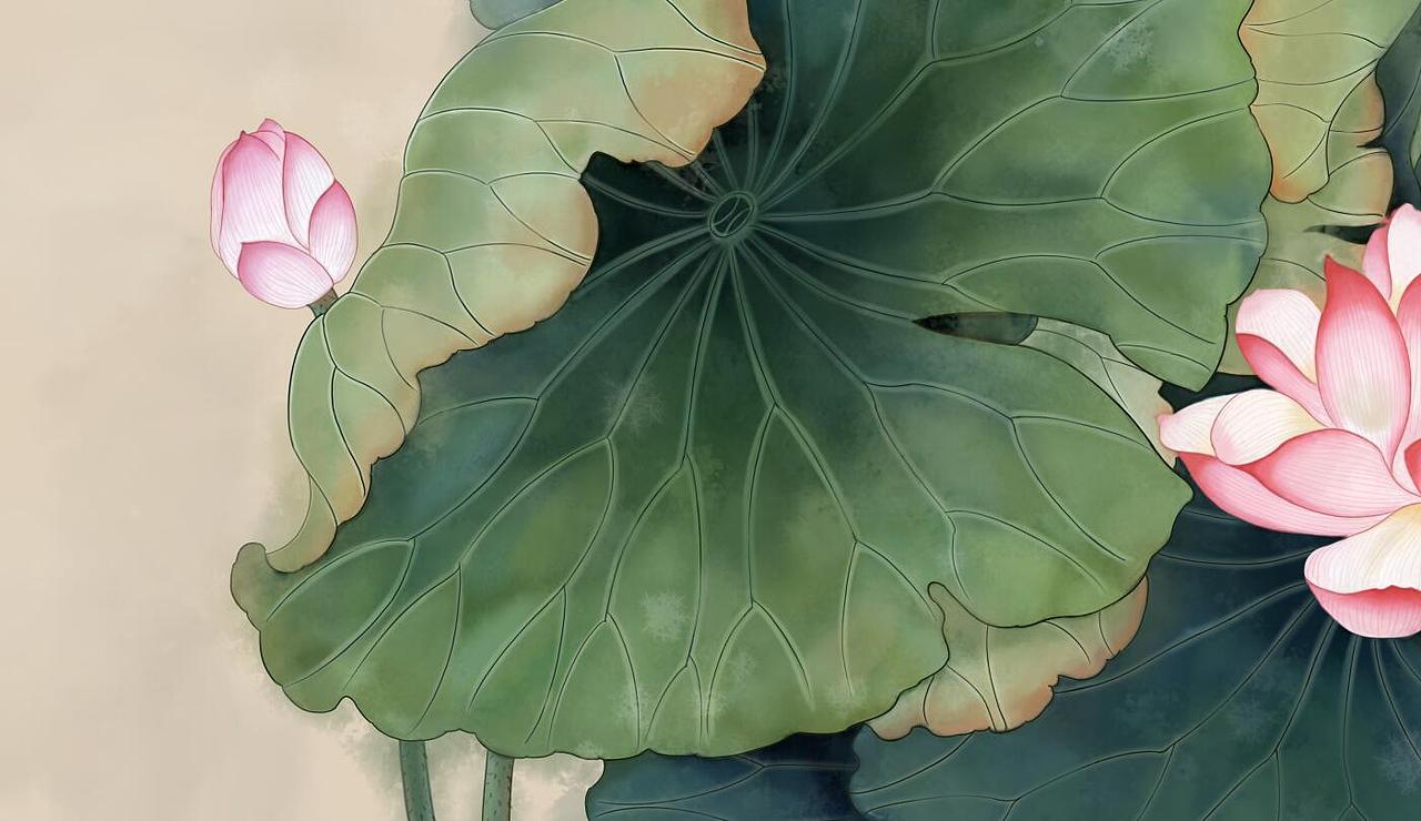 工筆國畫插畫 花鳥 荷花（圖ZNTY2NjY0NDA=） - 商業(yè)插畫 - 站酷設(shè)計師速度感原創(chuàng)素材 - 站酷ZCOOL