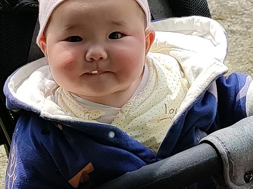 第247集 焱琳浩文艺术 欣禾宝宝40