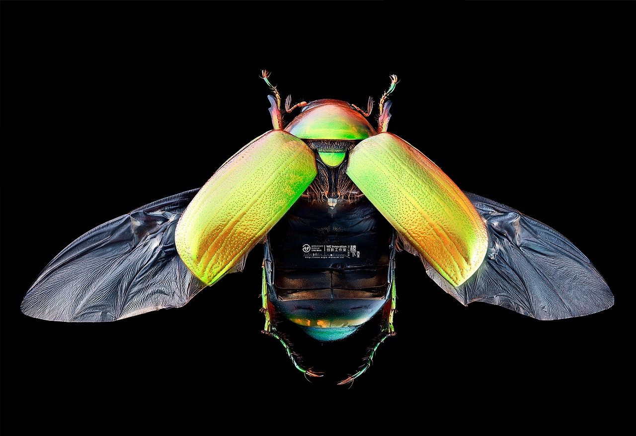 伯奇杯中国十大创意摄影师袁稷_高科技玩转堆叠摄影（图ZMTUyOTQ4MTMy） - 风光摄影 - 站酷设计师美食摄影师陈燕飞原创素材 - 站酷ZCOOL