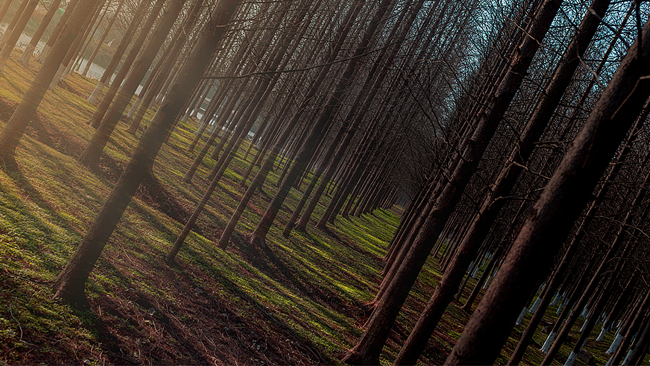 旧词 视频（图ZMTAwMzIwNjgw） - 其他摄影 - 站酷设计师迷你笑皮孩原创素材 - 站酷ZCOOL