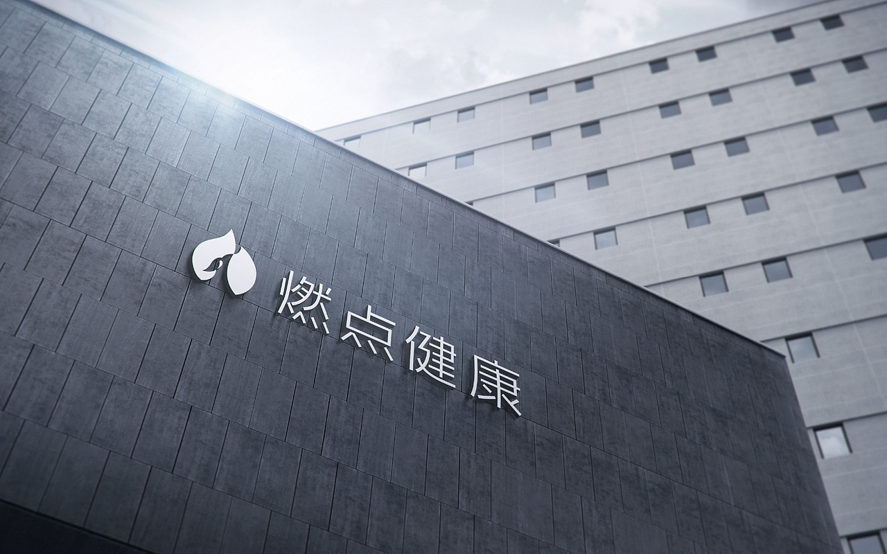 燃点健康品牌设计