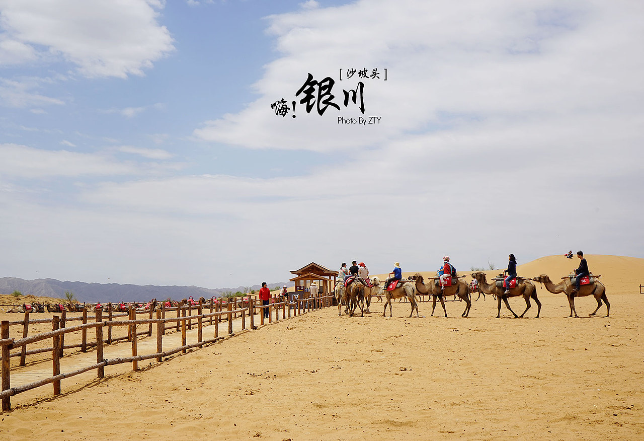 旅行~银川~和好友五年未见。