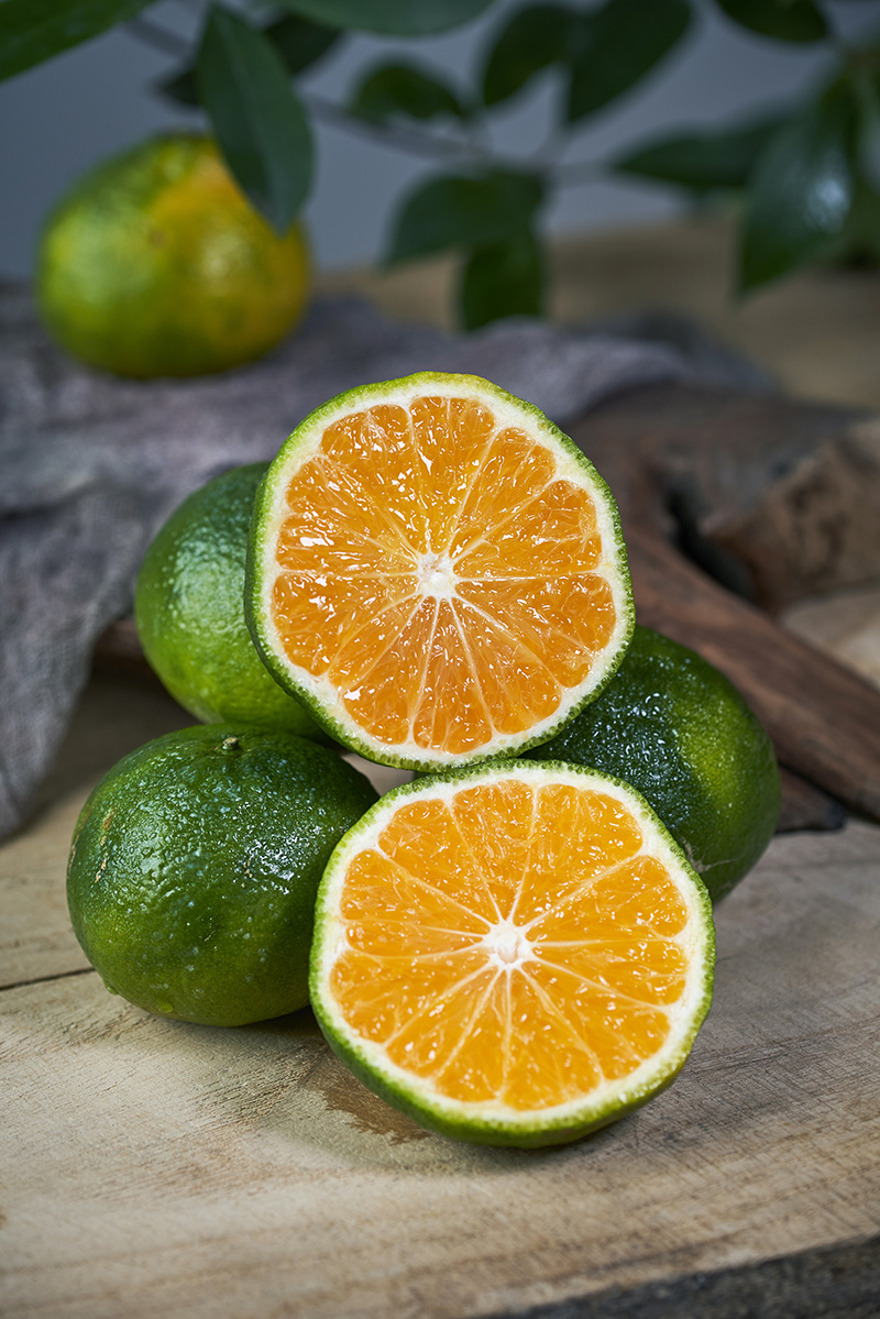 蜜橘部分样片拍摄 | 九零微文化