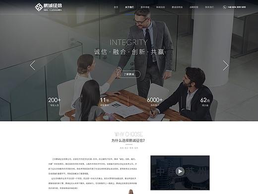 鹏诚征信官网设计