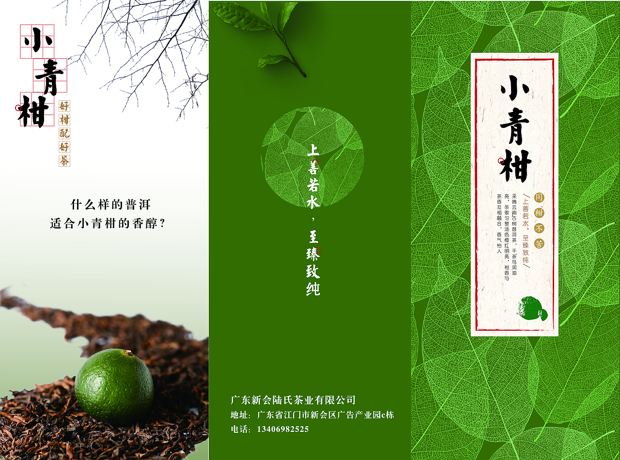 小青柑折页设计练习（图ZMjI1OTI4MzUy） - 宣传物料 - 站酷设计师陆九卯原创素材 - 站酷ZCOOL