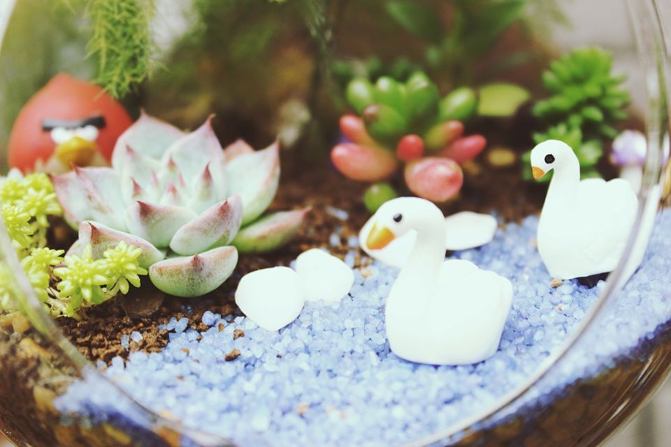 「觅春/春觅」（图ZMjY4MDI3OTY=） - 环境/建筑摄影 - 站酷设计师Lepzig原创素材 - 站酷ZCOOL