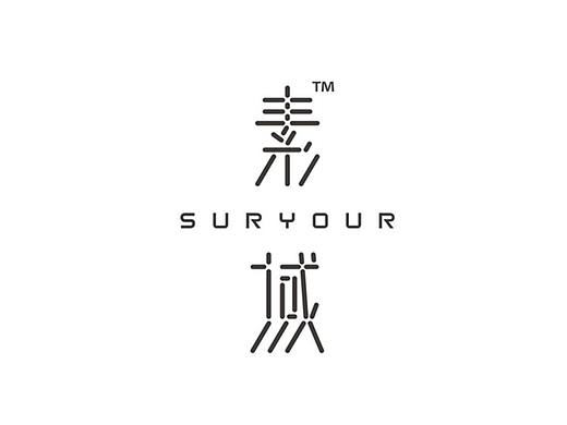 素域品牌设计VIS（个人主页-ZNDU3NDE4MzY=） - 品牌 - 站酷设计师麥偉勝原创素材 - 站酷ZCOOL