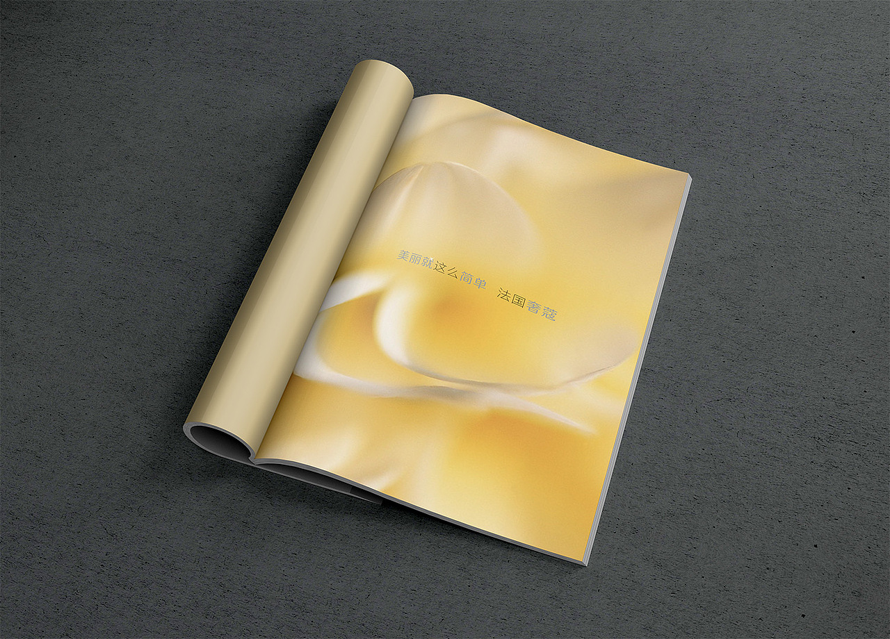 孙楚画册设计化妆品产品