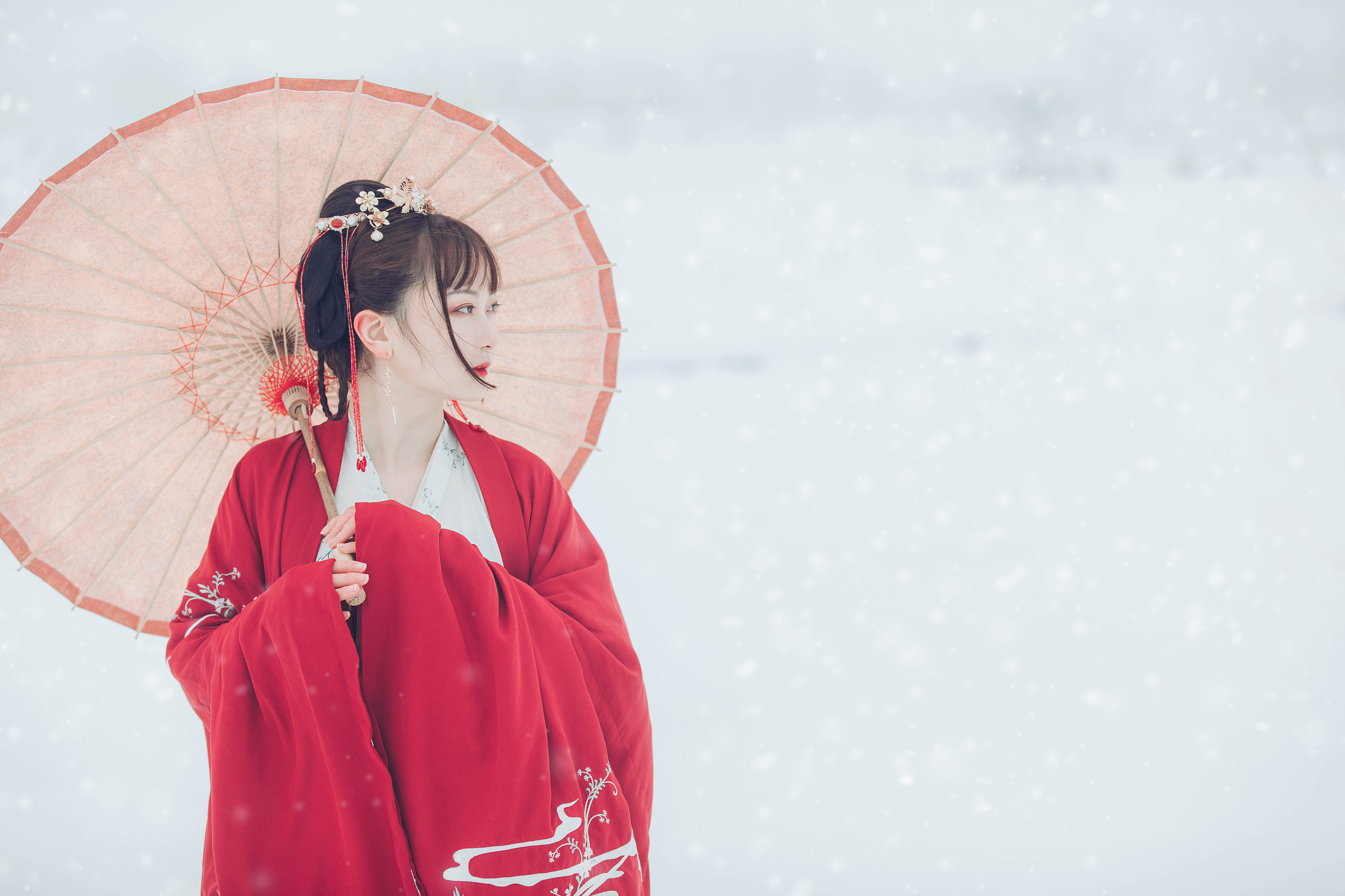 细雪纷纷覆上眉目