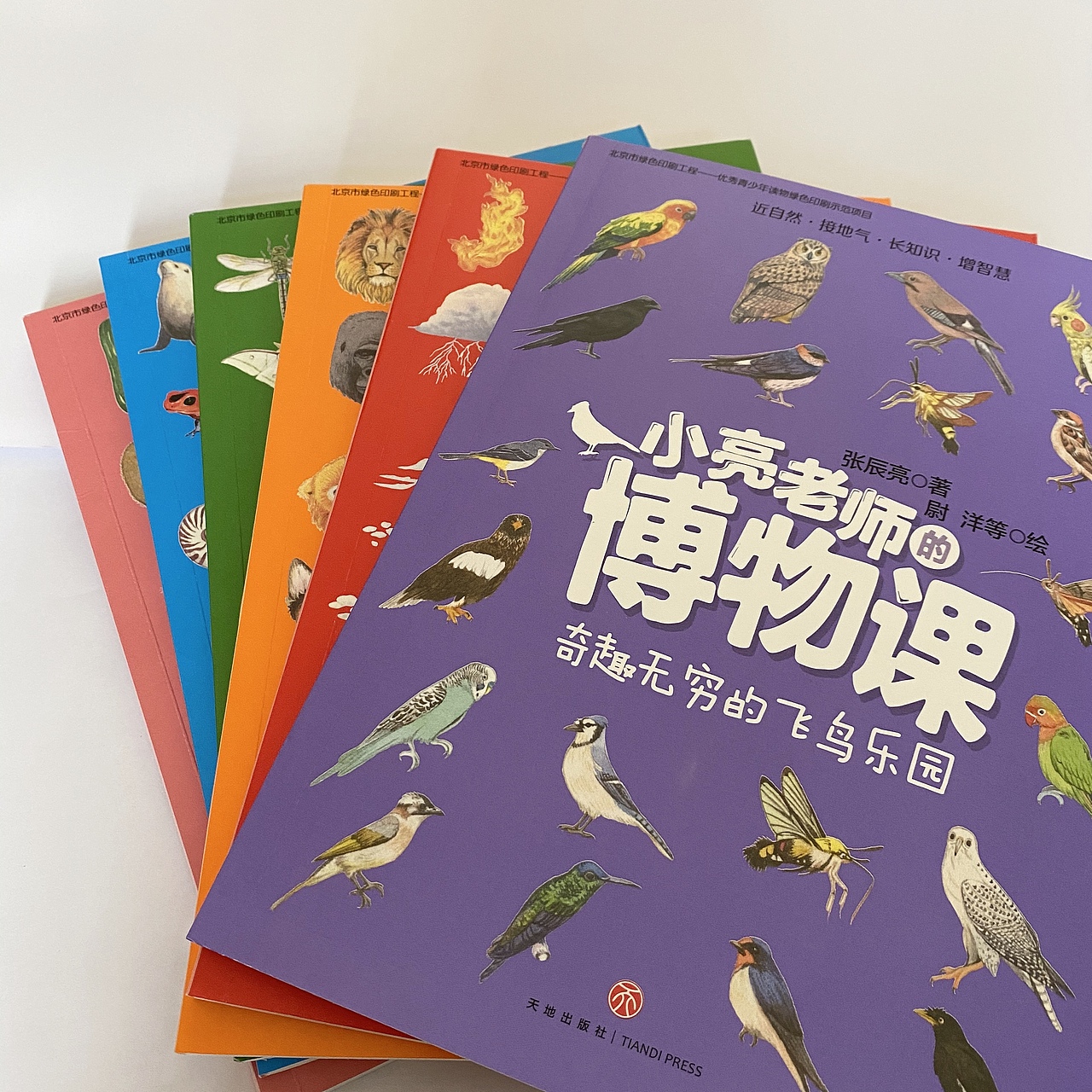 《小亮老师的博物课》京东礼盒封面及内页插图（图ZMjU3ODM2Nzc2） - 绘本 - 站酷设计师小鲜原创素材 - 站酷ZCOOL
